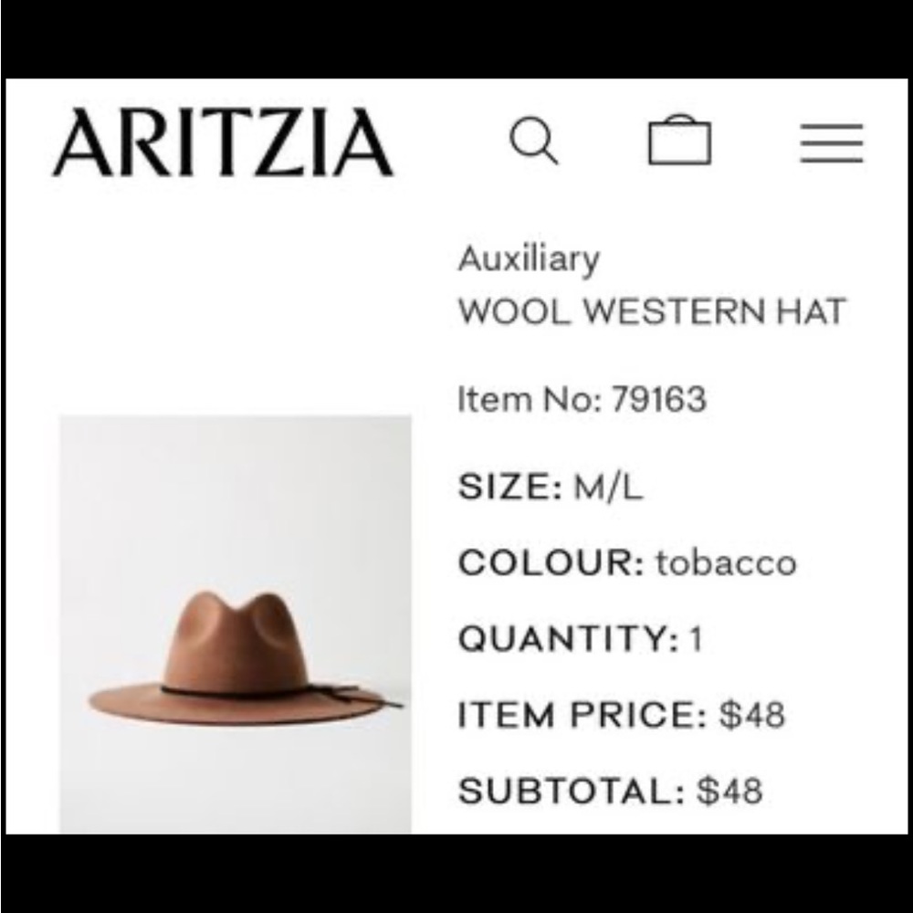 BNWT Aritzia Floppy Hat Brown, BNWT